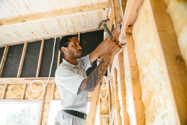 Best Attic Insulation Installation  in Elmwood, IL